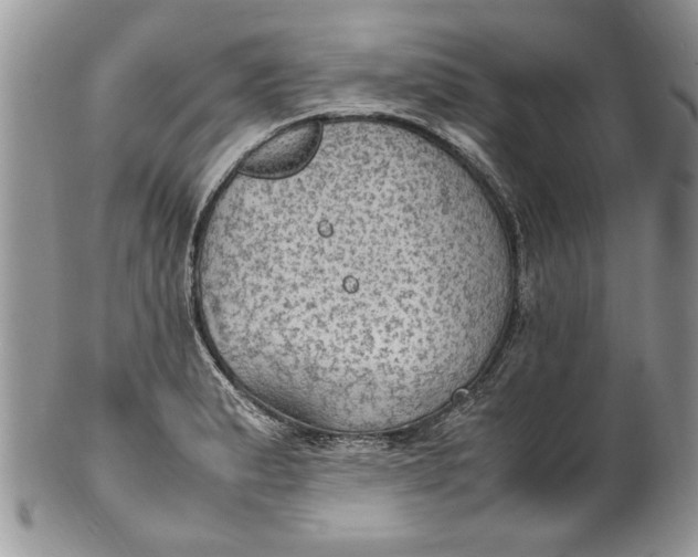 X0000100421183200806201815