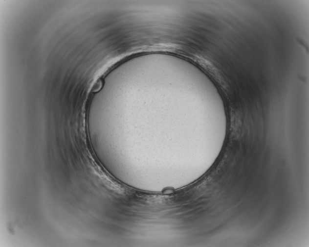 X0000100421184200806201815