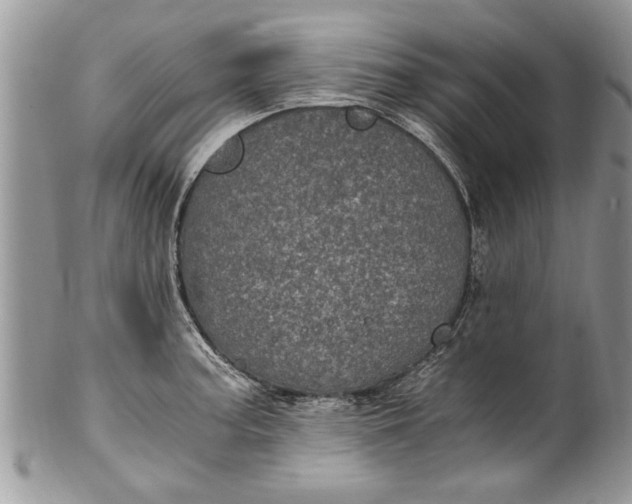 X0000100421187200806201815