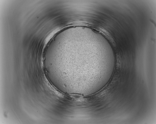 X0000100421188200806201815