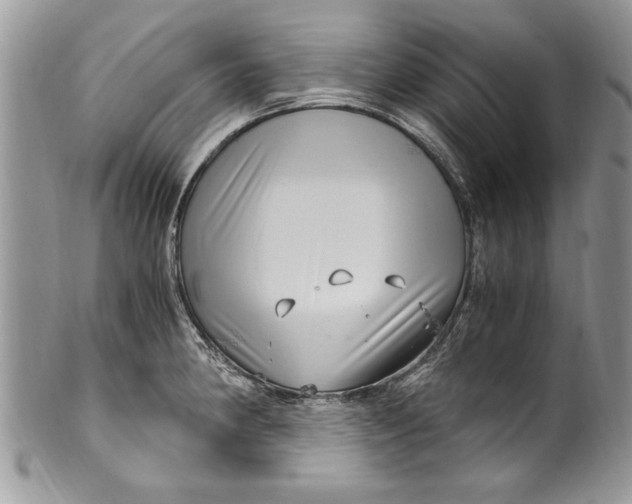 X0000100421190200806201815