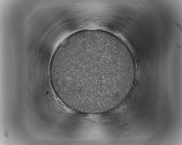 X0000100421191200806201815