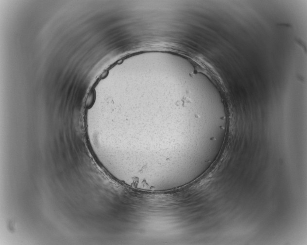 X0000100421192200806201815