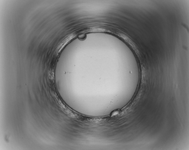 X0000100421193200806201815