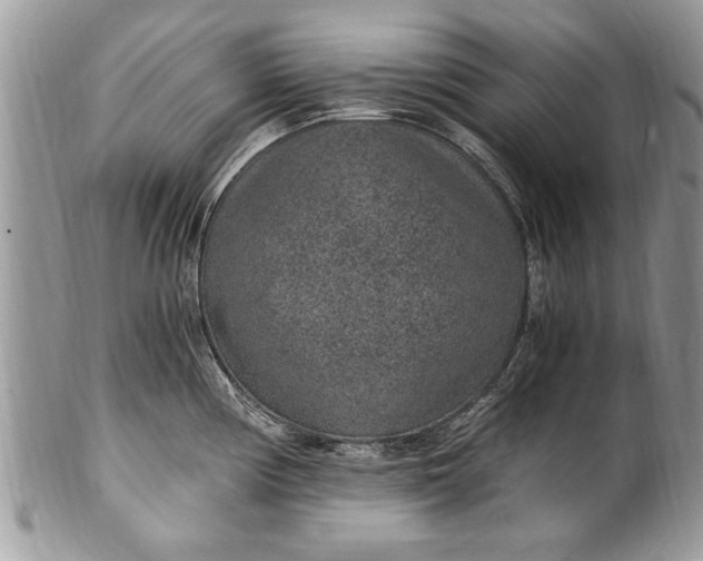 X0000100421194200806201815