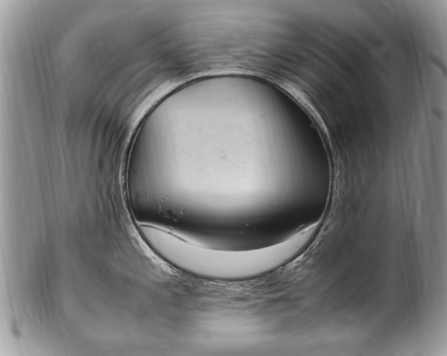 X0000100421197200806201815