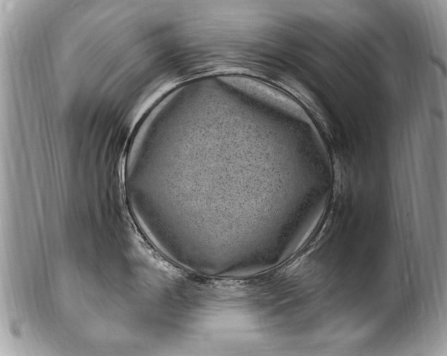X0000100421198200806201815