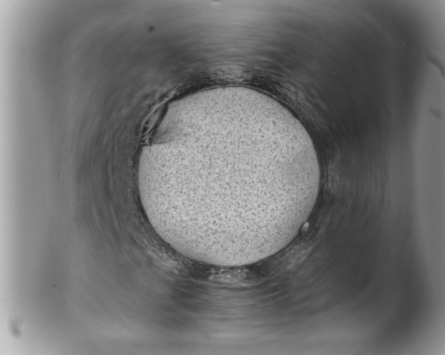 X0000100421201200806201815