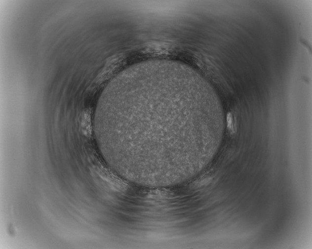 X0000100421203200806201815