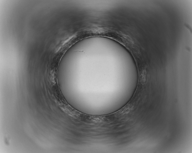 X0000100421205200806201815