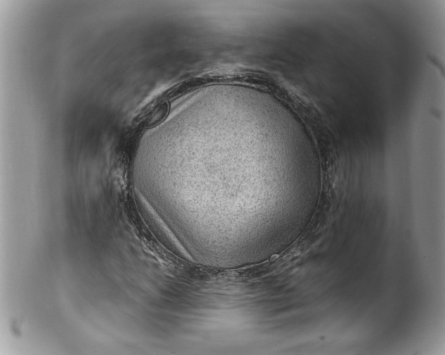 X0000100421206200806201815
