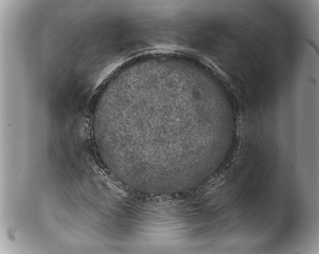 X0000100421208200806201815