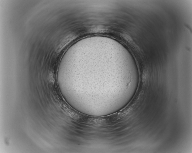 X0000100421209200806201815