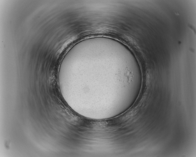 X0000100421210200806201815