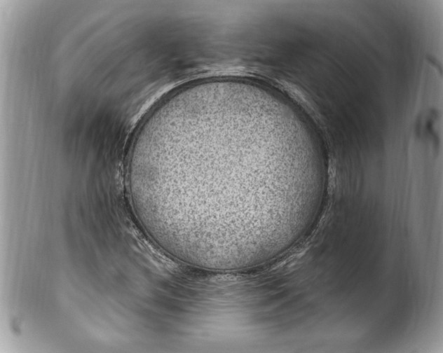 X0000100421212200806201815