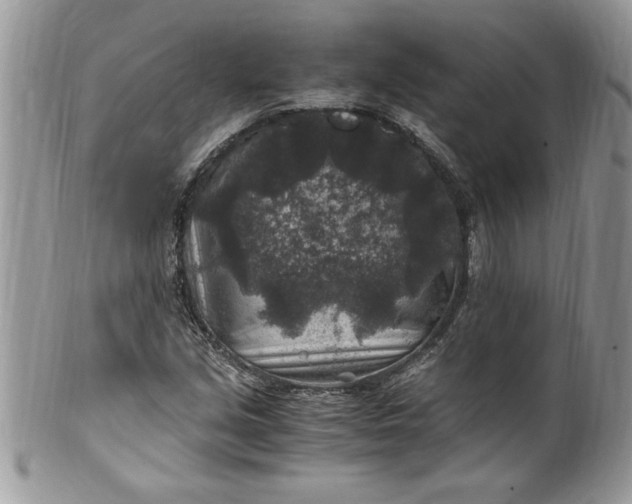 X0000100421213200806201815
