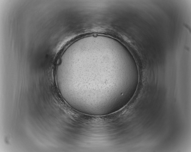 X0000100421214200806201815