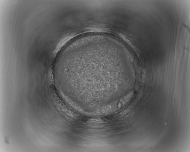 X0000100421215200806201815
