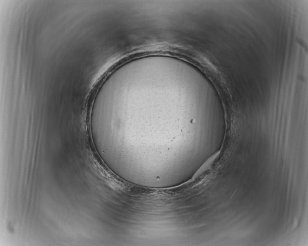 X0000100421216200806201815