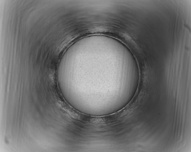 X0000100421217200806201815
