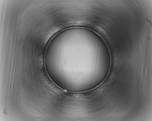X0000100421218200806201815