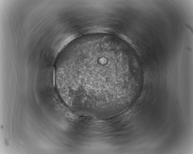 X0000100421219200806201815
