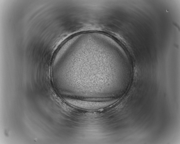 X0000100421220200806201815