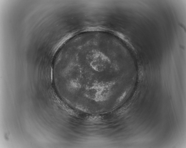 X0000100421221200806201815