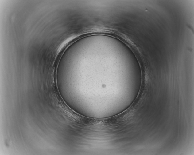 X0000100421222200806201815