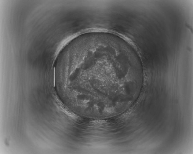 X0000100421223200806201815