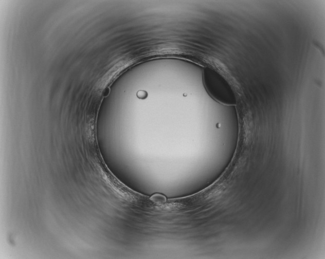 X0000100421225200806201815