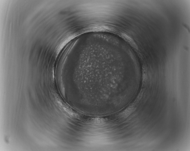 X0000100421226200806201815