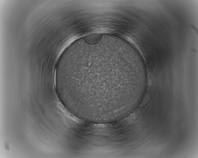 X0000100421227200806201815