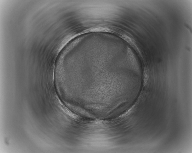 X0000100421228200806201815