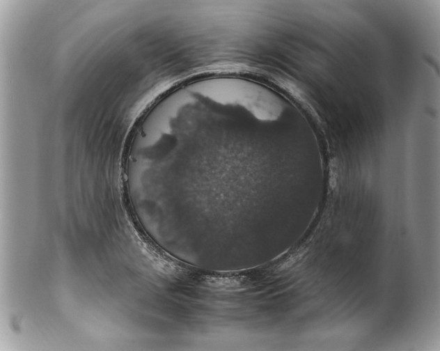 X0000100421229200806201815