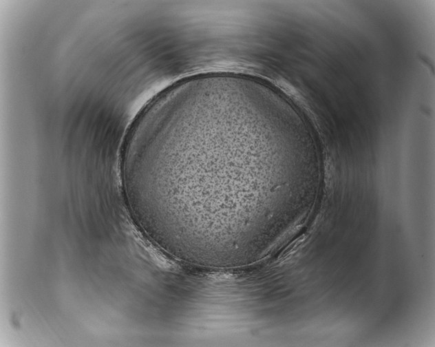 X0000100421230200806201815
