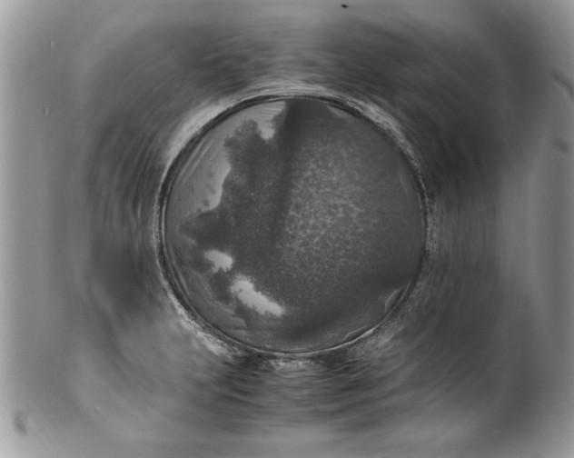 X0000100421231200806201815