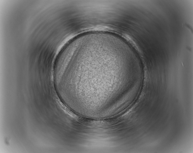 X0000100421232200806201815