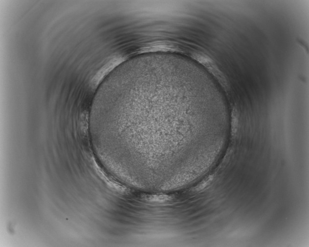 X0000100421233200806201815