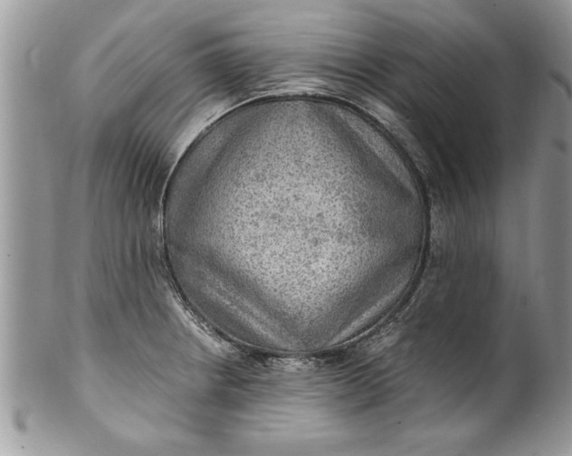 X0000100421234200806201815