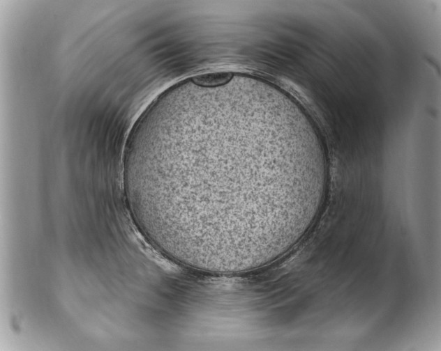X0000100421236200806201815