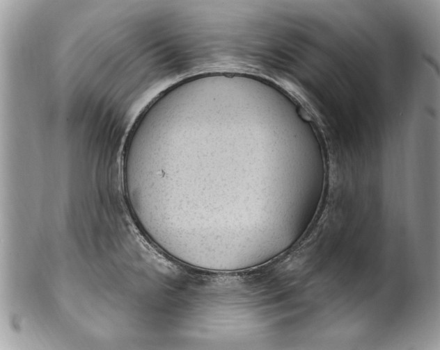 X0000100421238200806201815