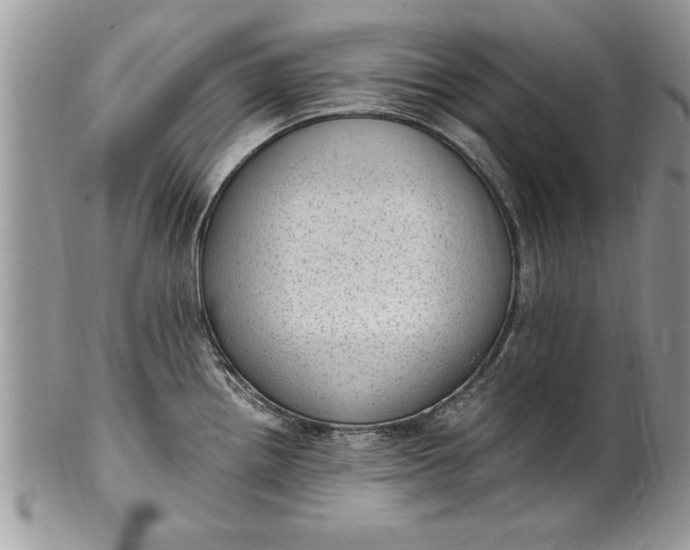 X0000100421242200806201815