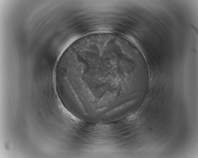 X0000100421243200806201815