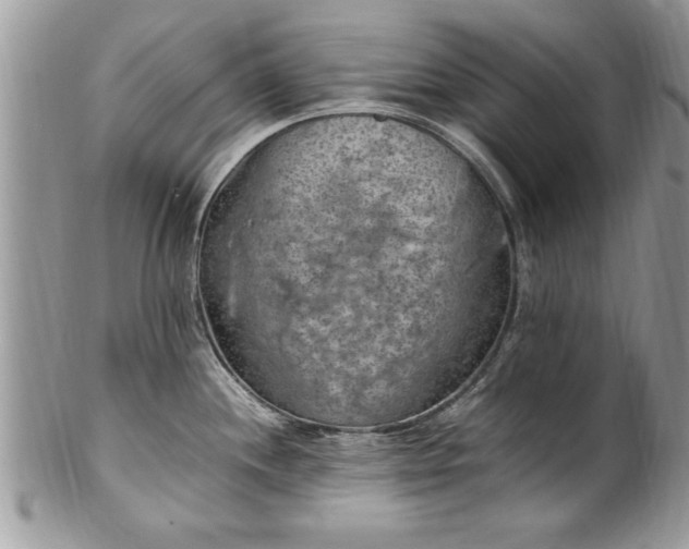 X0000100421244200806201815
