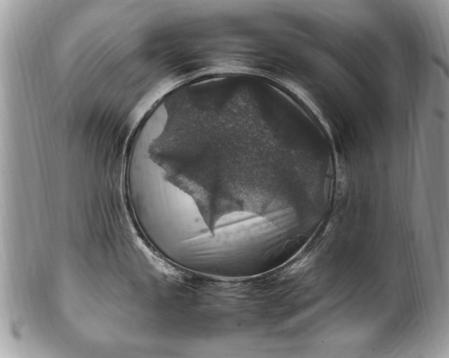 X0000100421245200806201815