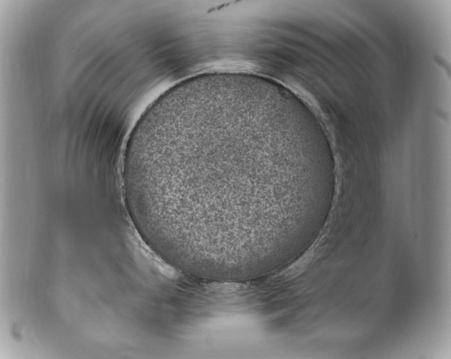 X0000100421248200806201815