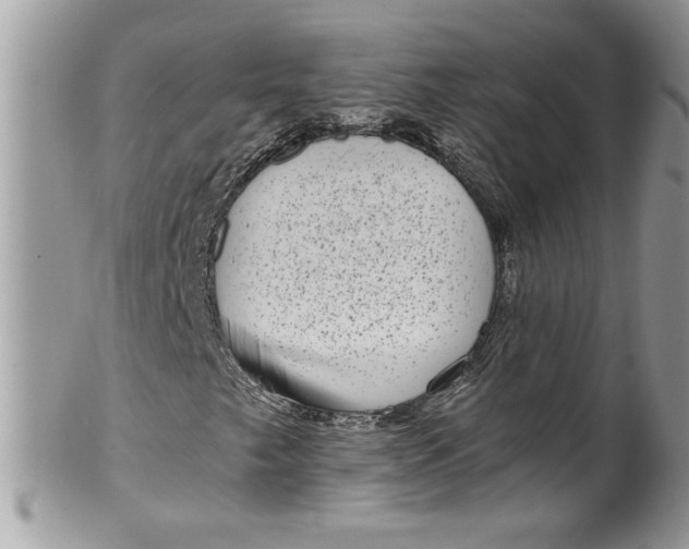 X0000100421249200806201815