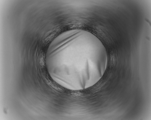 X0000100421250200806201815