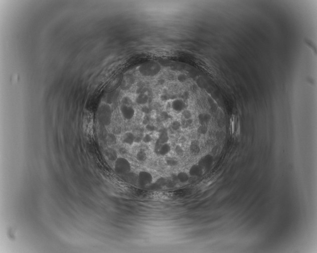 X0000100421251200806201814
